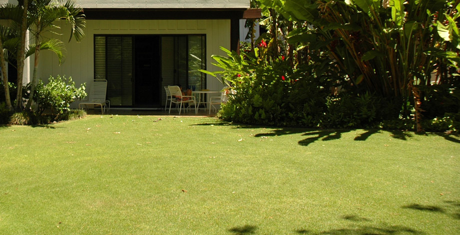 Large lawn is perfect for families with children