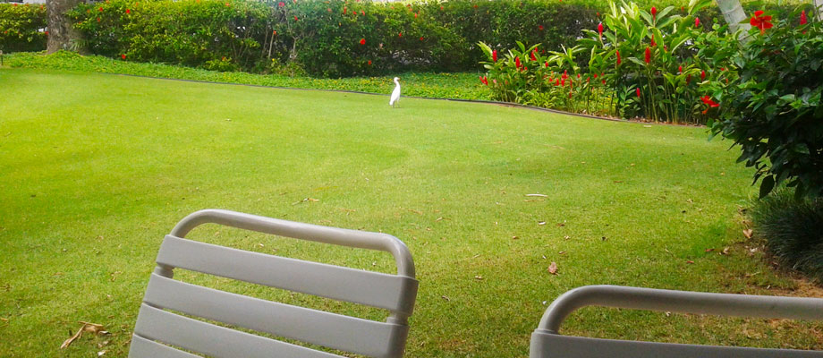 Chaise lounges and a table on the Lanai